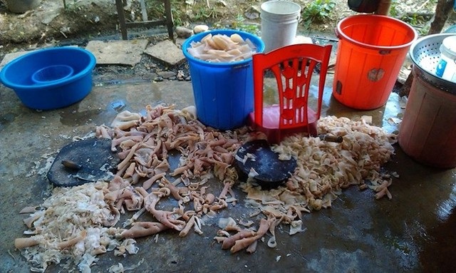 Hình ảnh nick nam L.X.H ghi lại tại sân sau của 1 quán nem chua nổi tiếng Thanh Hoá