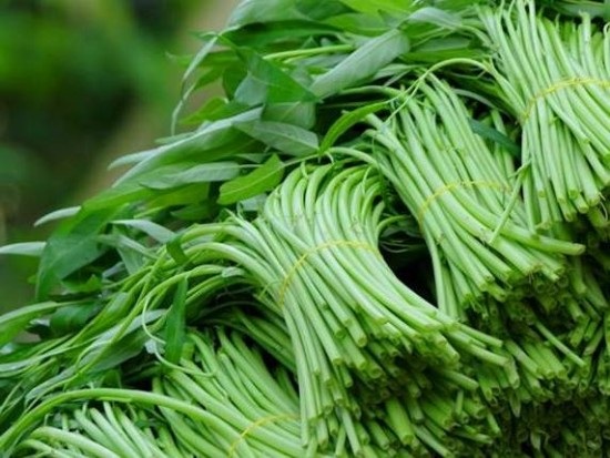 Dấu hiệu nhận diện các loại rau, củ ngậm thuốc “kích phọt” - 2 Rau
muống non bất thường- Ảnh minh họa