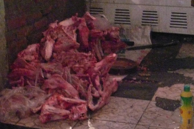 Những tảng thịt nằm chồng chéo dưới nền nhà cáu bẩn.