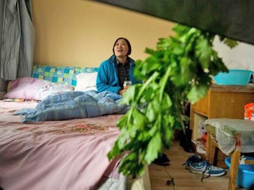 Nhan nhản “khách sạn ung thư” ở Trung Quốc - 1 Một bệnh nhân ung thư đang tá túc tại căn phòng trọ ở phía
tây Bắc Kinh để chờ đợi điều trị