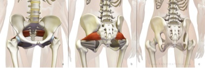Yoga cho người đau dây thần kinh toạ (2) - 1 Yoga cho người đau dây thần kinh toạ (2)