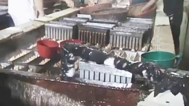 Công nghệ sản xuất kem siêu bẩn gây kinh hãi
(ảnh chụp từ clip)