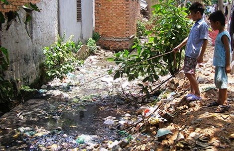 Khổ vì muỗi đầy nhà - 1 Khổ vì muỗi đầy nhà