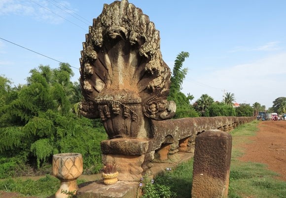Huyền thoại chữa bệnh từ… rắn - 1 T
