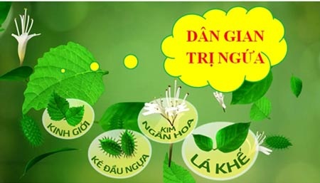 Bí quyết chung sống hòa bình với căn bệnh dị ứng thời tiết - 2 Thảo dược giúp cắt nhanh cơn ngứa do dị ứng thời tiết