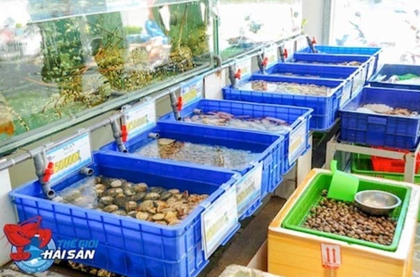 Thị trường hải sản: Cuộc chiến giành lại lợi thế trên sân nhà - 1 Thực trạng hải sản tự nhiên ở Việt Nam: Nghịch lý
