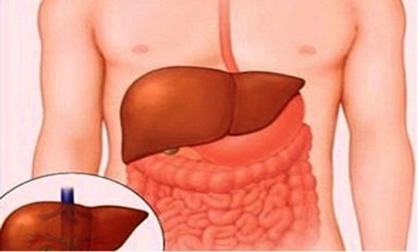 Viêm gan B là một trong những bệnh lý về gan mật nguy hiểm và có diễn
biến âm thầm