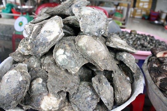 Tuổi nào ăn hàu cũng khỏe - 1 Tuổi nào ăn hàu cũng khỏe