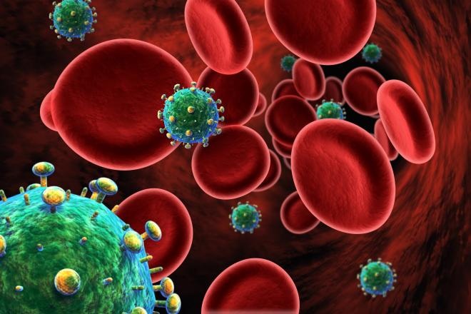Cắt đứt nguồn đường - Cách mới để tiêu diệt HIV - 1 Cắt đứt nguồn đường - Cách mới để tiêu diệt HIV