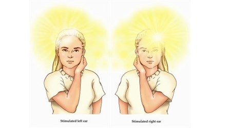 Mát xa tai - Liệu pháp tuyệt vời cho não bộ - 1 Ảnh minh họa