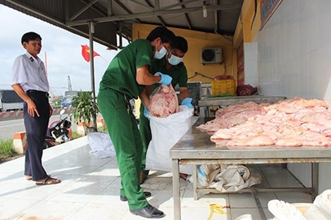 Tiêu hủy 180kg mỡ heo không đảm bảo vệ sinh - 1 Chiếc xe khách mang biển số 72M- 6767 được yêu cầu kiểm tra.
Ảnh: Thanh Tuyền