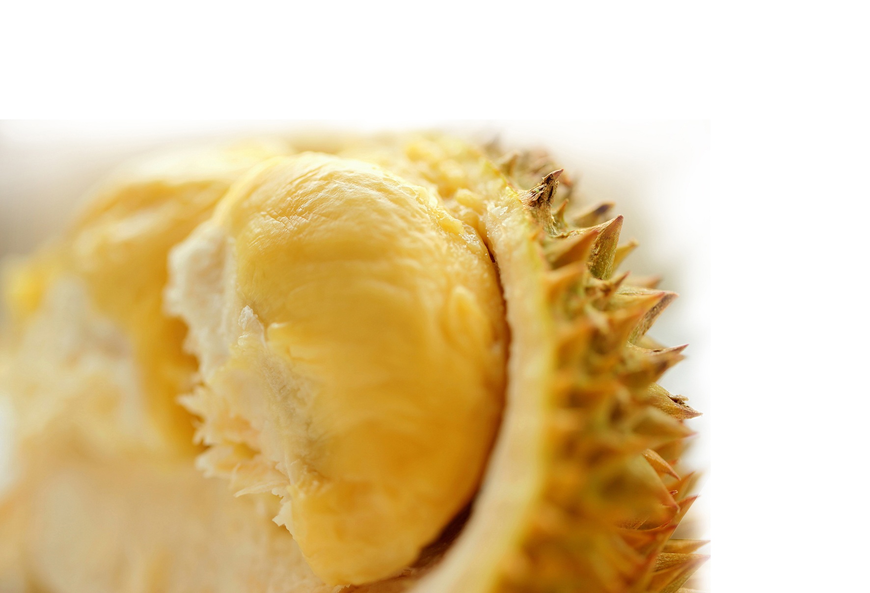 Giải mã 5 bí mật về trái sầu riêng - 1 1. Người có cholesterol cao không nên ăn sầu
riêng vì nó sẽ làm bệnh nặng thêm?