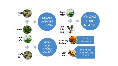 Bệnh trào ngược dạ dày thực quản nguy hiểm hơn bạn biết - 2 10% có
hiện tượng khó nuốt