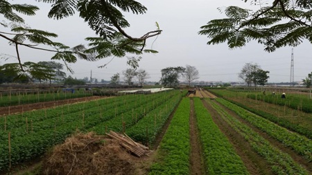 Tư vấn trực tiếp trên đồng ruộng của nông dân - 1 Chương trình Hãy hỏi để biết được quay trực tiếp trên đồng ruộng của nông dân mọi miền Tổ quốc.