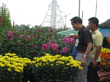 Chi tiết các
địa phương trên cả nước ngày và đêm 17/2 như sau: