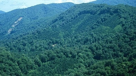 Việt Nam nỗ lực giảm phát thải khí nhà kính - 1 Việt Nam nỗ lực giảm phát thải khí nhà kính