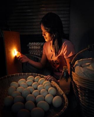 Người bán trứng rong - Danilo Victoriano Jr. (Phi-líp-pin)