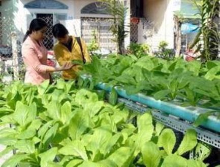 Chưa có ai ra "vành móng ngựa" vì sản xuất thực phẩm không an toàn - 2 Người tiêu dùng cần thay đổi thói quen và lựa chọn những sản phẩm an toàn