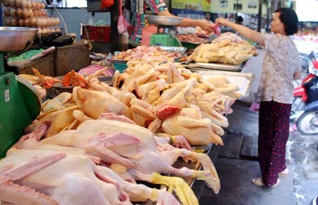 Trứng gà nhập lậu đang gia tăng! - 2 Người chăn nuôi vẫn đang lỗ 3.000 – 4.000 đồng/kg thịt gà (Ảnh minh họa)