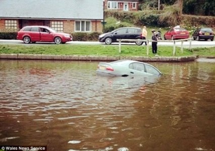 Đúng là họa vô đơn chí