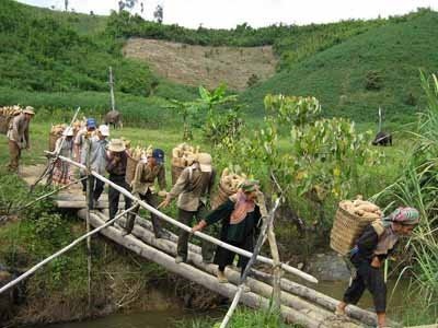 Tình trạng di cư tự do gây