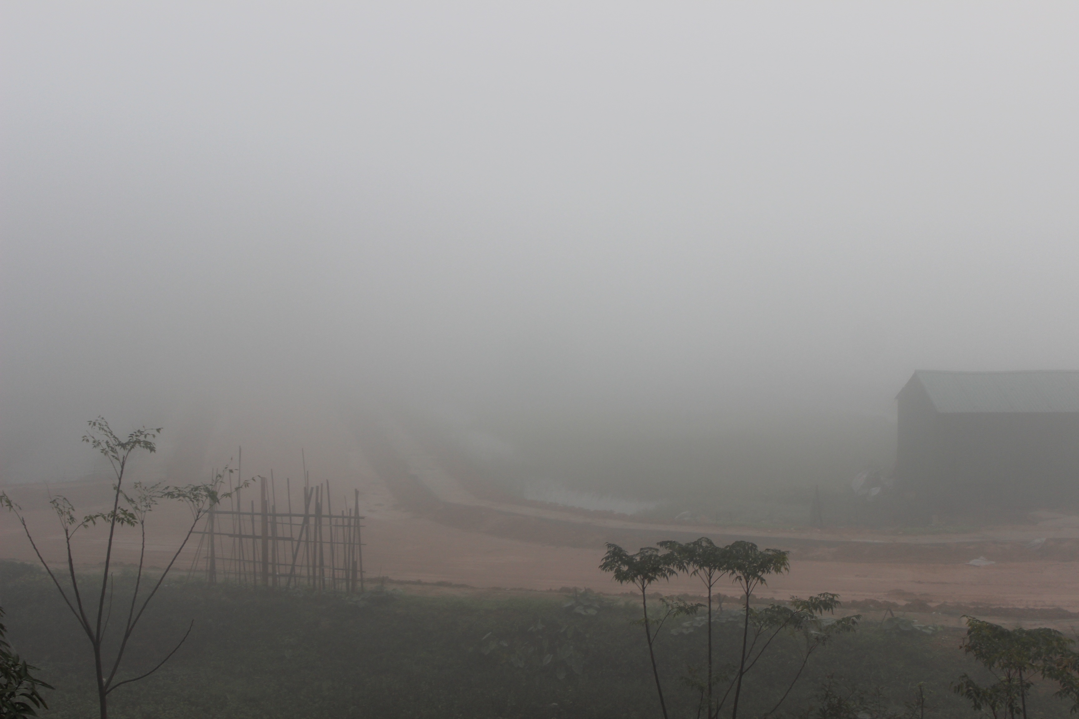 Sương mù dày đặc khiến tầm nhìn bị hạn chế