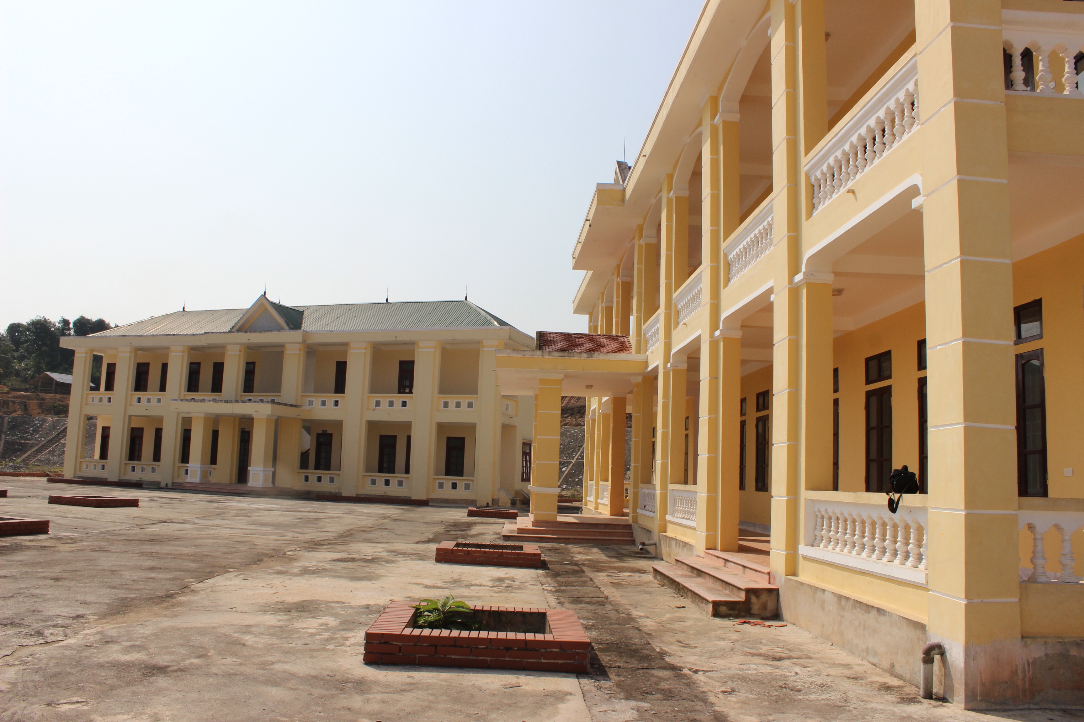 Trâu bò làm bẩn khu vực nhà xe.