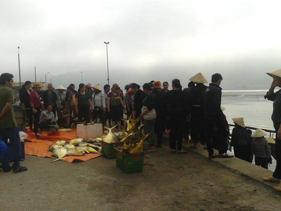 Ngư dân trúng mẻ cá "lạ", bán được 400 triệu đồng - 1 Ngay khi lên bờ, mẻ cá này đã được mua với giá gần 400 triệu đồng
