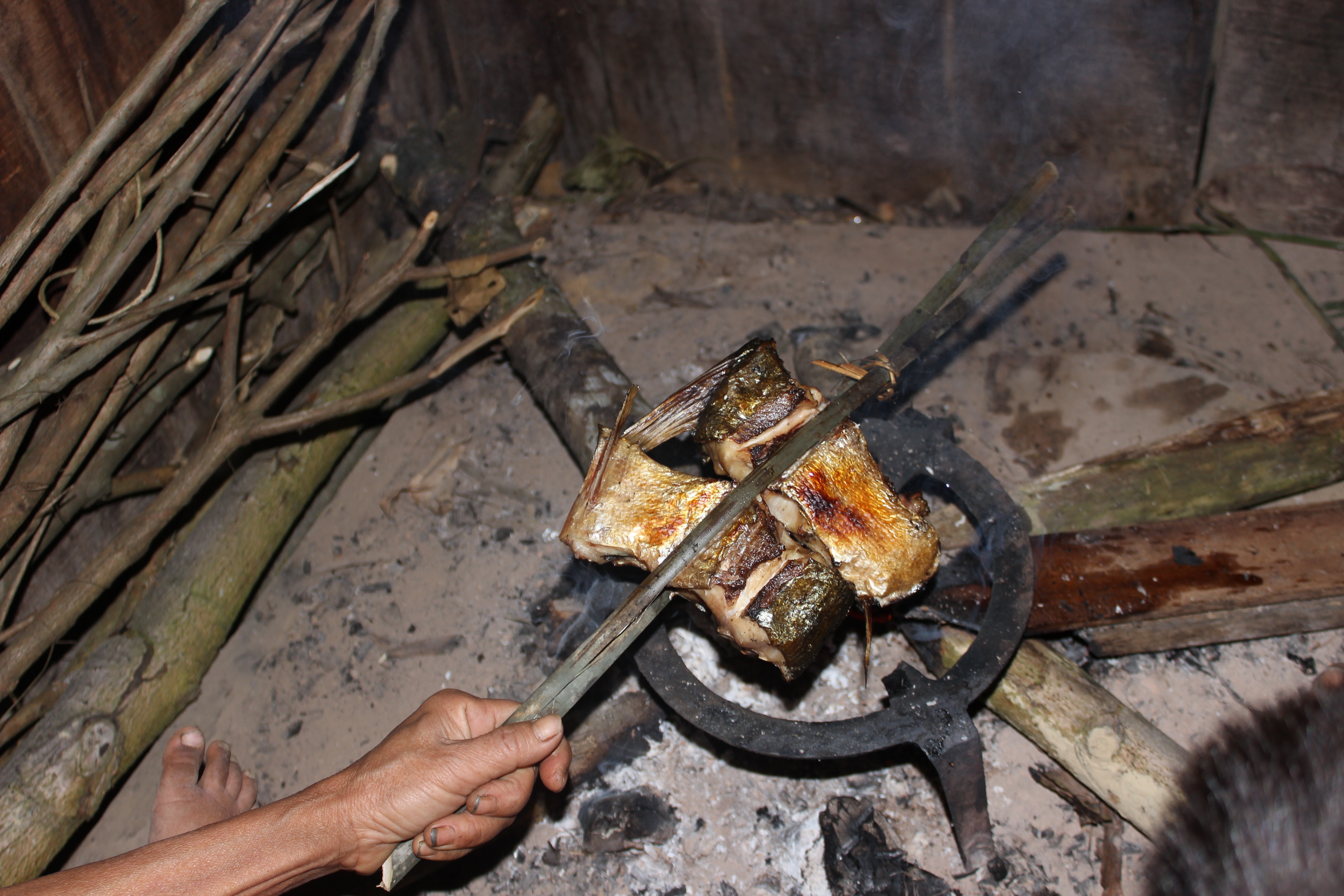 Cá được đem về nướng trên bếp