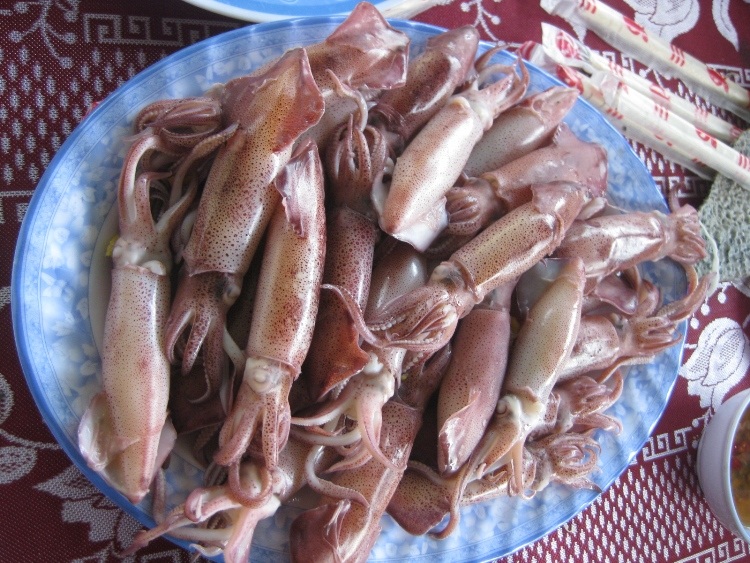 Đến Vũng Áng thưởng thức món mực "nhảy" - 13 Mực hấp