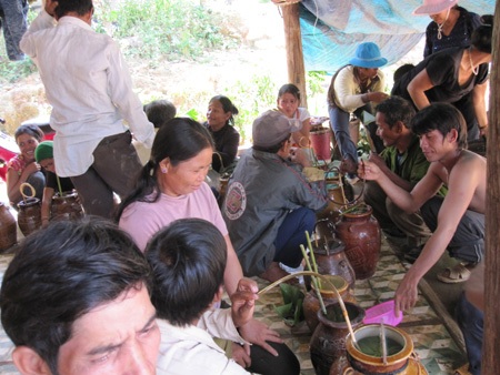 Thú vị lễ đập bò “cúng sống” cha mẹ - 1