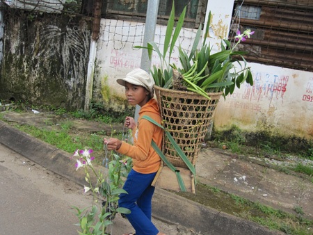 “Mẹ bảo Tết không phải của nhà mình...” - 7