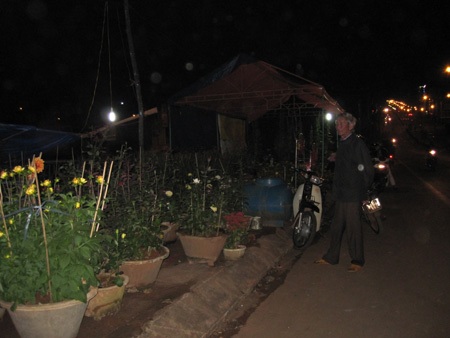 Chợ hoa ế ẩm, người bán "nhậu cho quên sầu" - 2