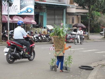 “Mẹ bảo Tết không phải của nhà mình...” - 6