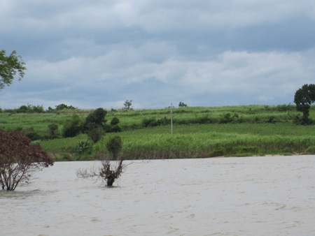 Thủy điện chặn dòng, chặn cả đường mưu sinh của dân - 1