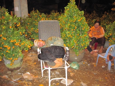 Chợ hoa ế ẩm, người bán "nhậu cho quên sầu" - 6