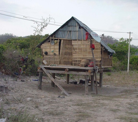 Kỳ án con bò cái già: Kết cục bi thương của một gia đình nghèo - 3