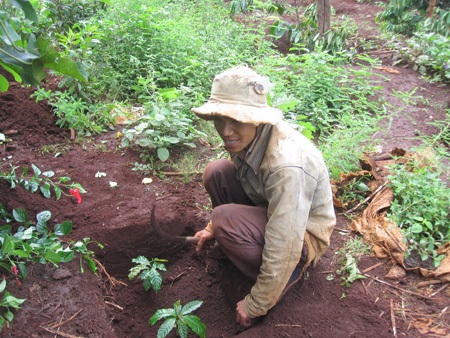 Hủ tục thuốc thư và bi kịch bị cả làng đuổi giết - 3