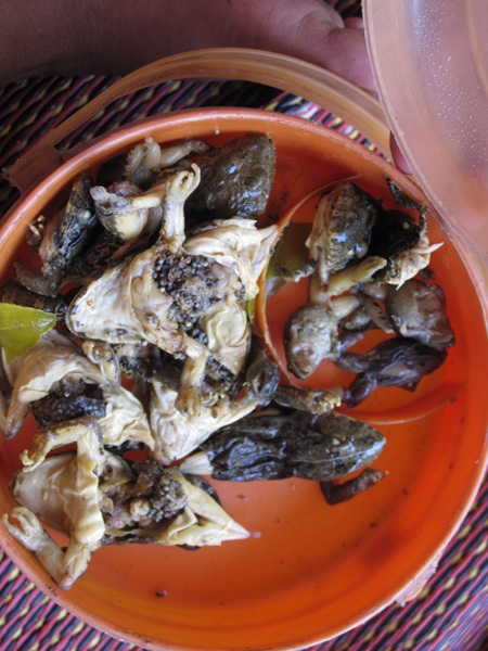 Chạnh lòng nhìn trẻ ăn cơm một món, ngủ “thừa” chân