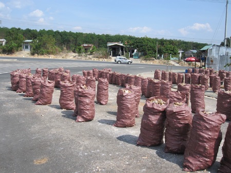 Đường nghìn tỷ chỉ để… phơi mì và đi bộ lên rẫy