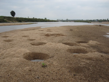 Nước giếng để giặt, nước sông để... ăn