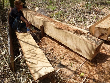 Truy nã 4 đối tượng phá rừng