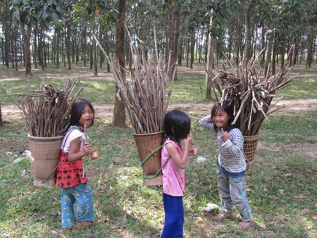 Ngoài giờ đi học, nhiều em học sinh vùng cao phải vất vả mưu sinh như thế này.