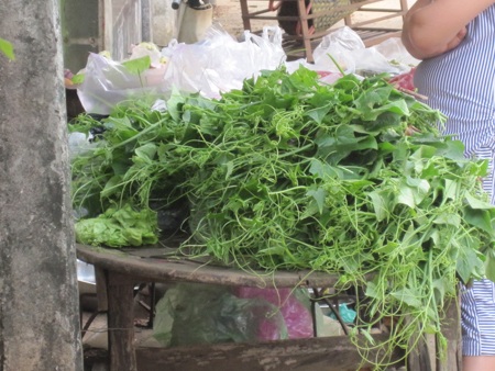 Sạp rau của chị Bình trên đường Đồng Tiến chỉ có vài bó ngọn su su với giá 8 nghìn đồng/bó