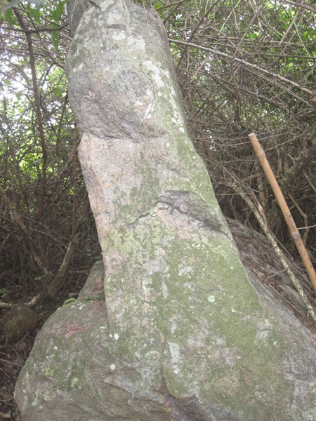 Nhìn nghiêng giống như một tấm bia đá