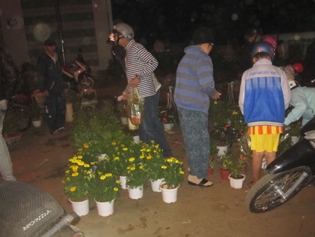 Những chậu hoa có giá 5 nghìn đồng/bình