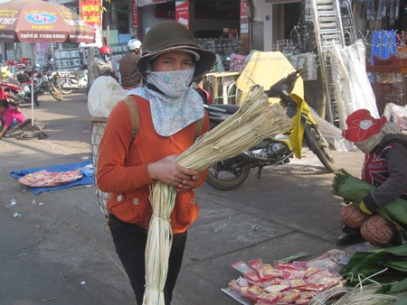 Hay những bó lạt