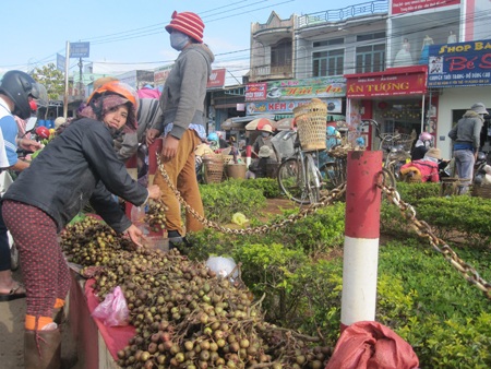 Hay những bó lạt