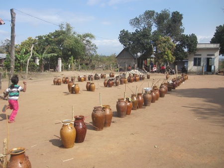 Những ghè rượu cần được xếp thành từng đôi thẳng hàng