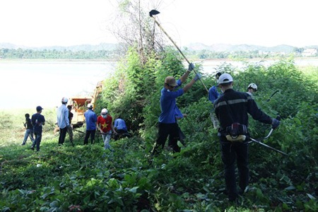 Sinh viên cùng đoàn viên chung tay hành động vì môi trường - 1 Sinh viên và đoàn viên cùng tiêu diệt cây ma dương, bảo vệ môi trường